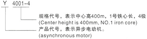 西安泰富西玛Y系列(H355-1000)高压YJTFKK6303-8三相异步电机型号说明