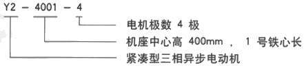 YR系列(H355-1000)高压YJTFKK6303-8三相异步电机西安西玛电机型号说明